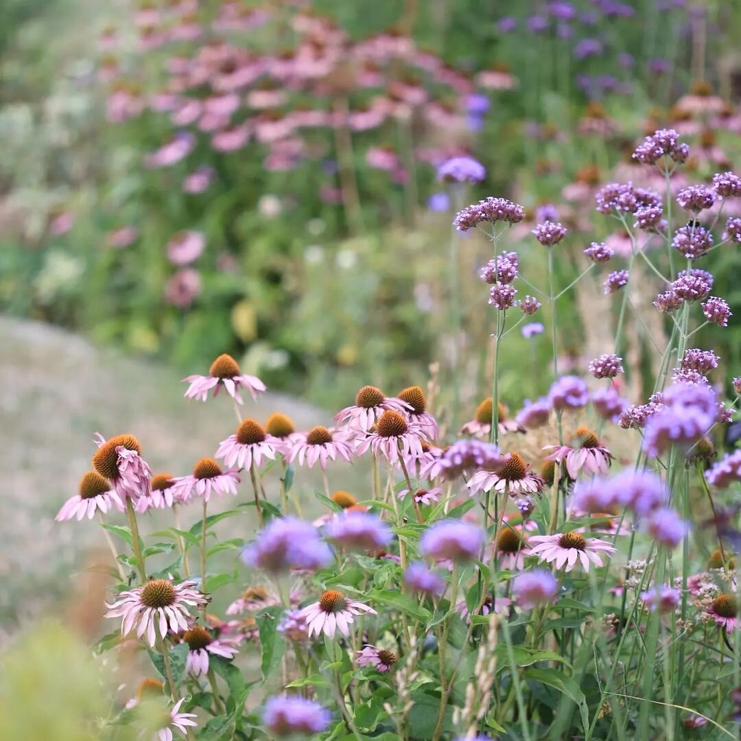 Здесь и далее фото instagram: leichtergarten