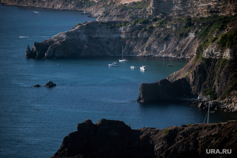    Илон Маск выступил против того, чтобы ВСУ попытались напасть на Крым