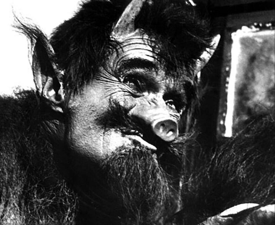 Фото из открытых источников интернет