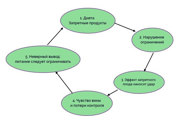 Замкнутый круг диеты