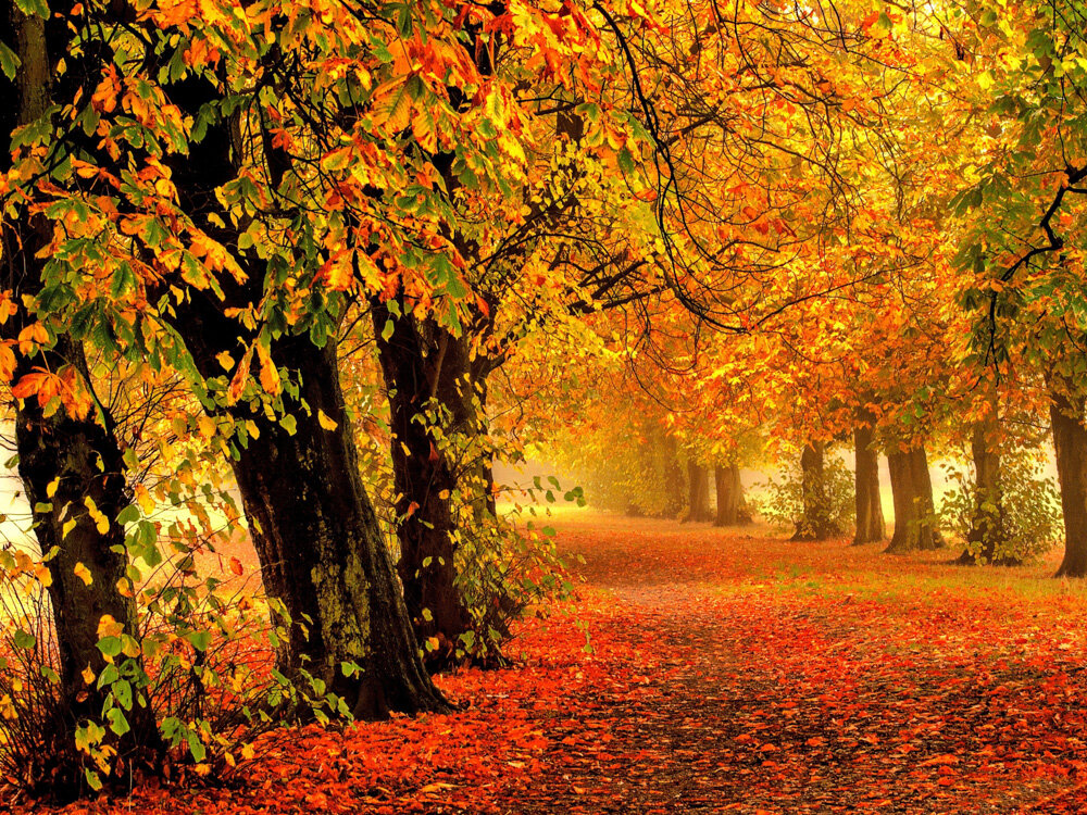 Изображение с Яндекс.Картинки