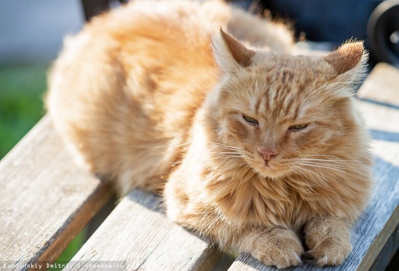    «Сотрудник» ботанического сада, которого зовут Иннокентий