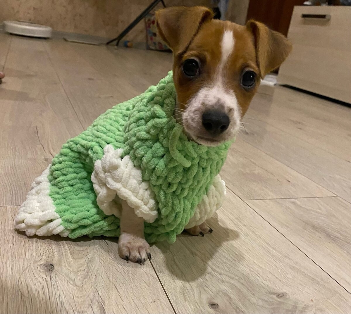 Оскару около трёх месяцев