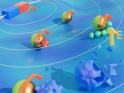    Наноробот размером с эритроцит способен перемещаться между клетками организма