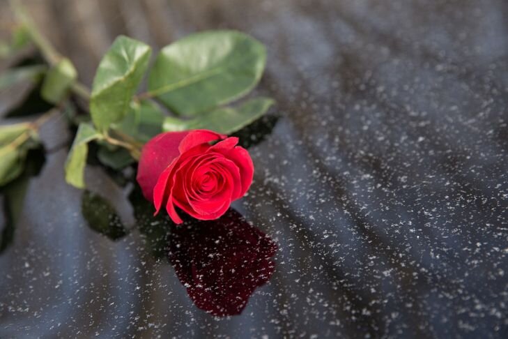 Фото: Pixabay