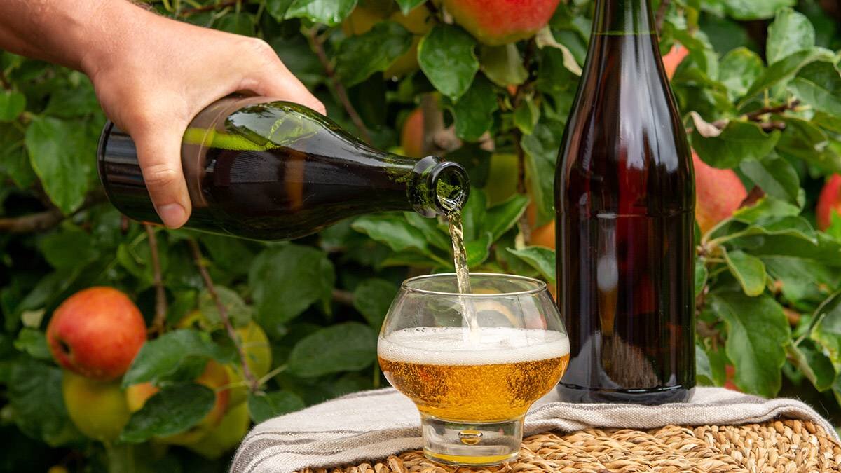    Фото: shutterstock