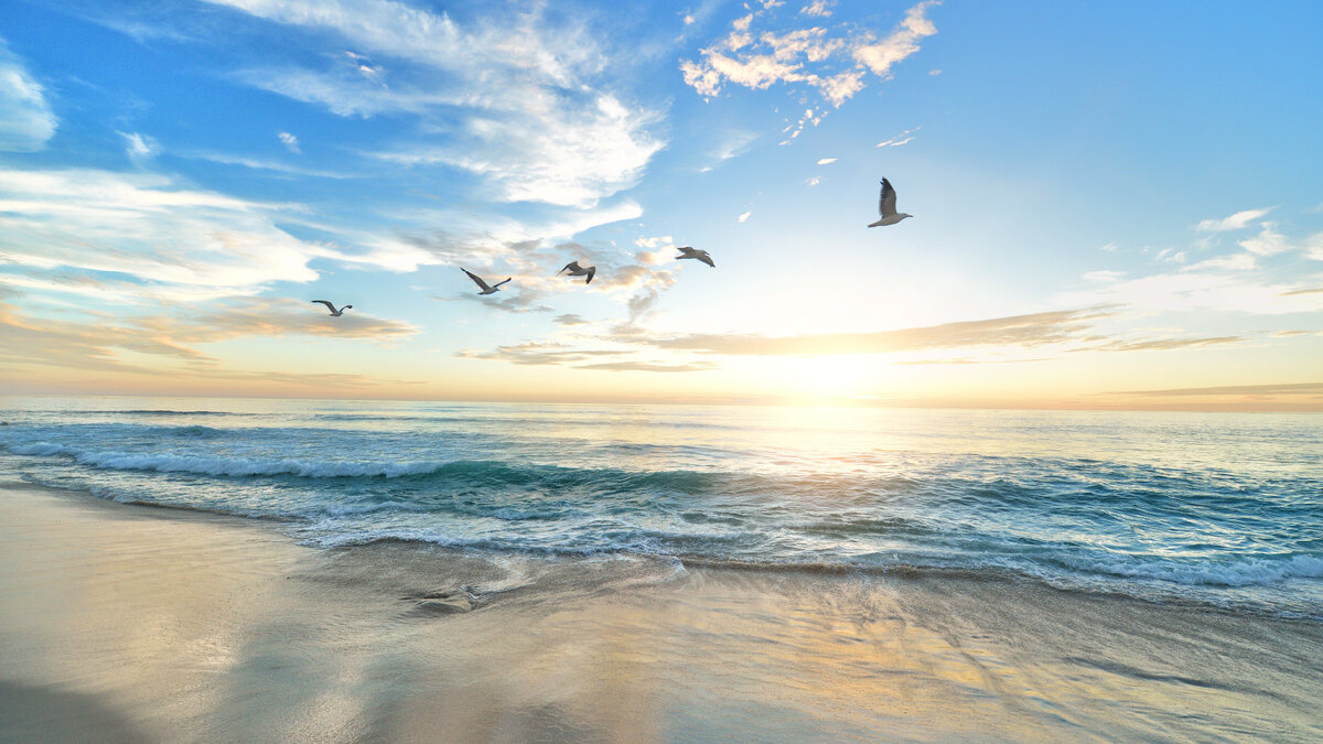 Photo by frank mckenna on Unsplash