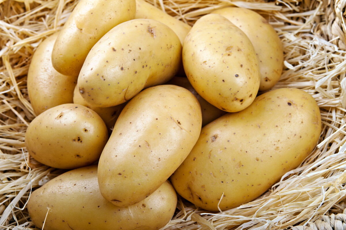 Реклама картошки