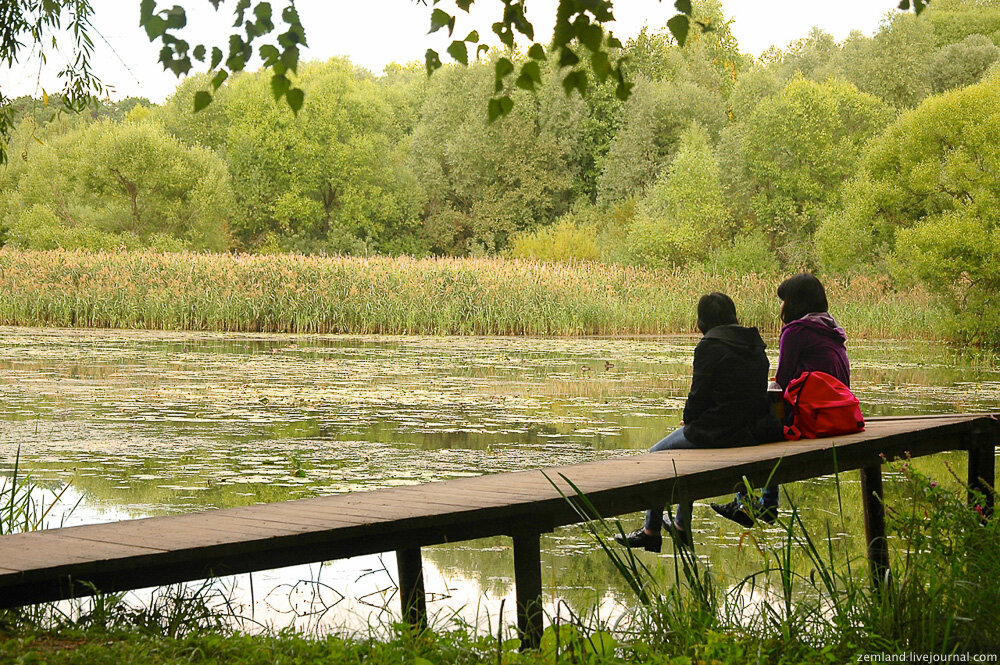 Фото Дмитрий (zemland) 