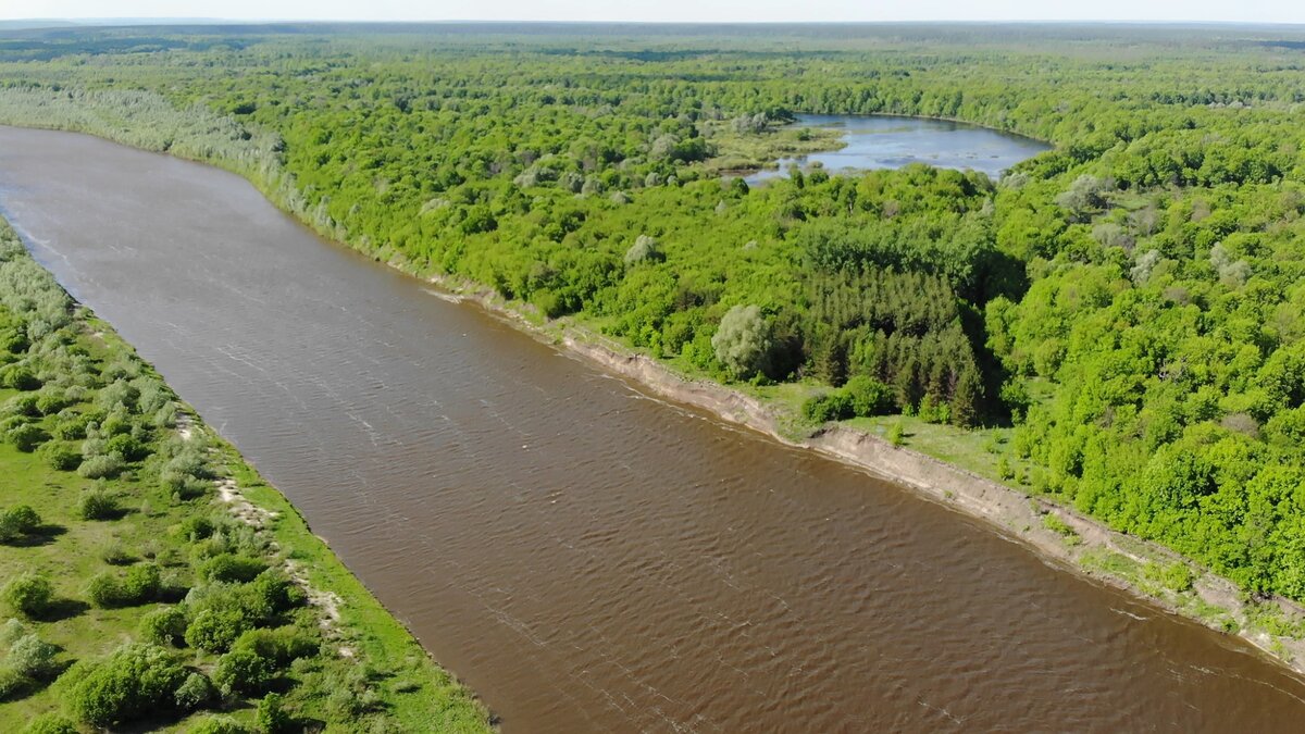 Река правая. Река Сура в Мордовии. Река Сура Ульяновская область. Сура Чувашия. Река Сура в Чувашии.