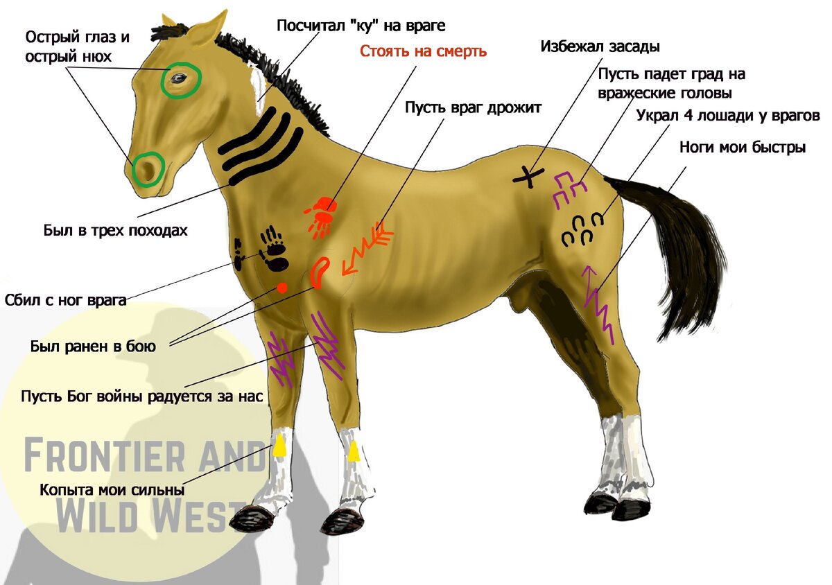 Зачем индейцы раскрашивали лошадей. Азбука символов | Фронтир и Дикий Запад  | Дзен