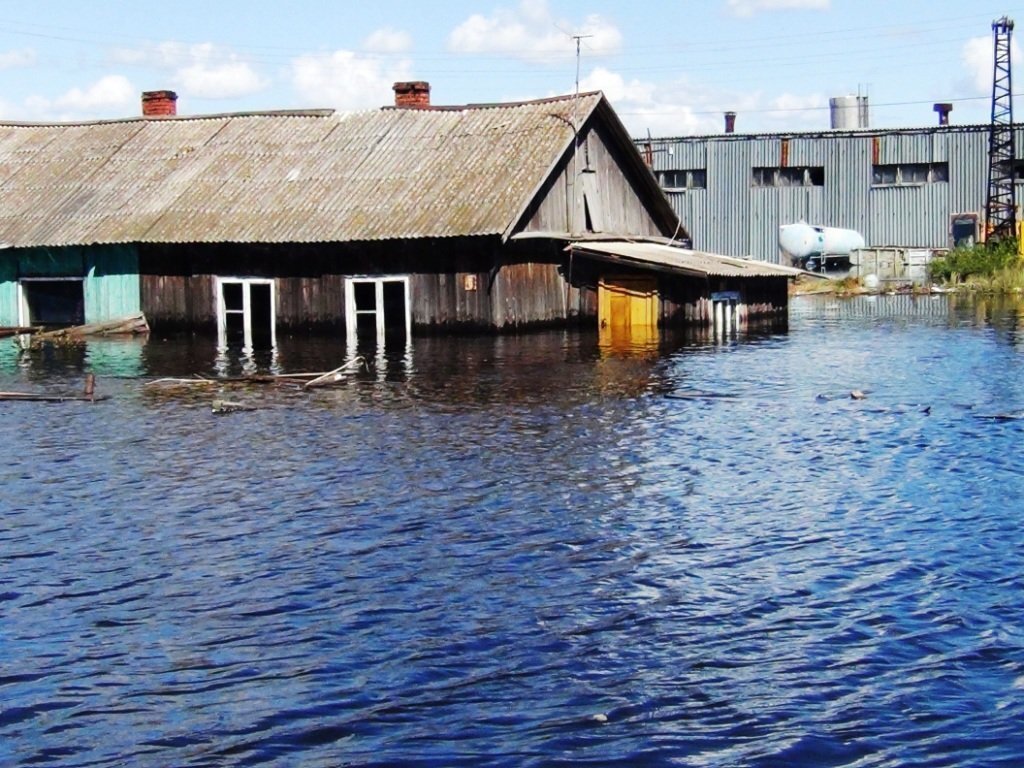 Каждый год можно увидеть такое по телевизору