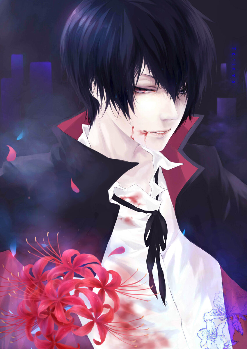 Аниме, сериал, топ, интересно, что посмотреть, XXX, вампиры, аниме вампиры, аниме про вампиров