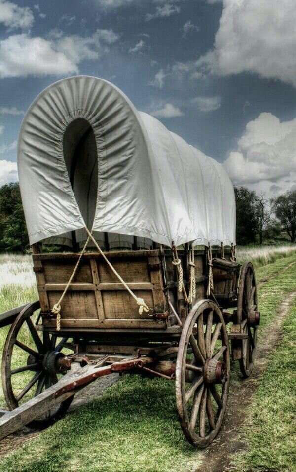 Изображение взято из открытых источников Яндекс. Картинки