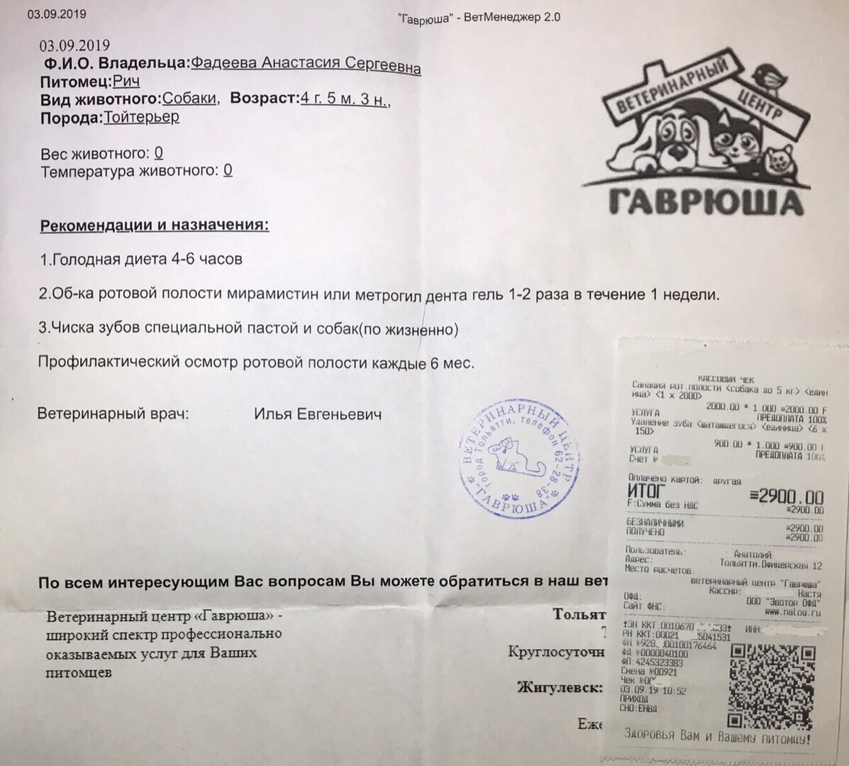 Чек с ветклиники, процедура ультразвуковая чистка