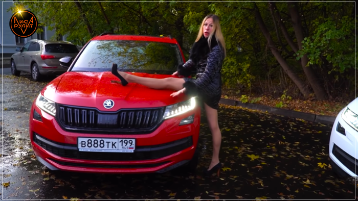 Лис рулит. Лиса рулит Шкода Октавия. Лиса рулит Skoda Octavia 2020. Лиса рулит Шкода Кодиак. Октавия 2021 лиса рулит.