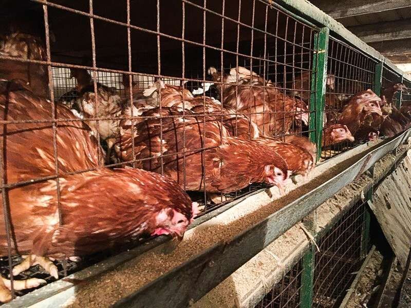 фото из открытых источников