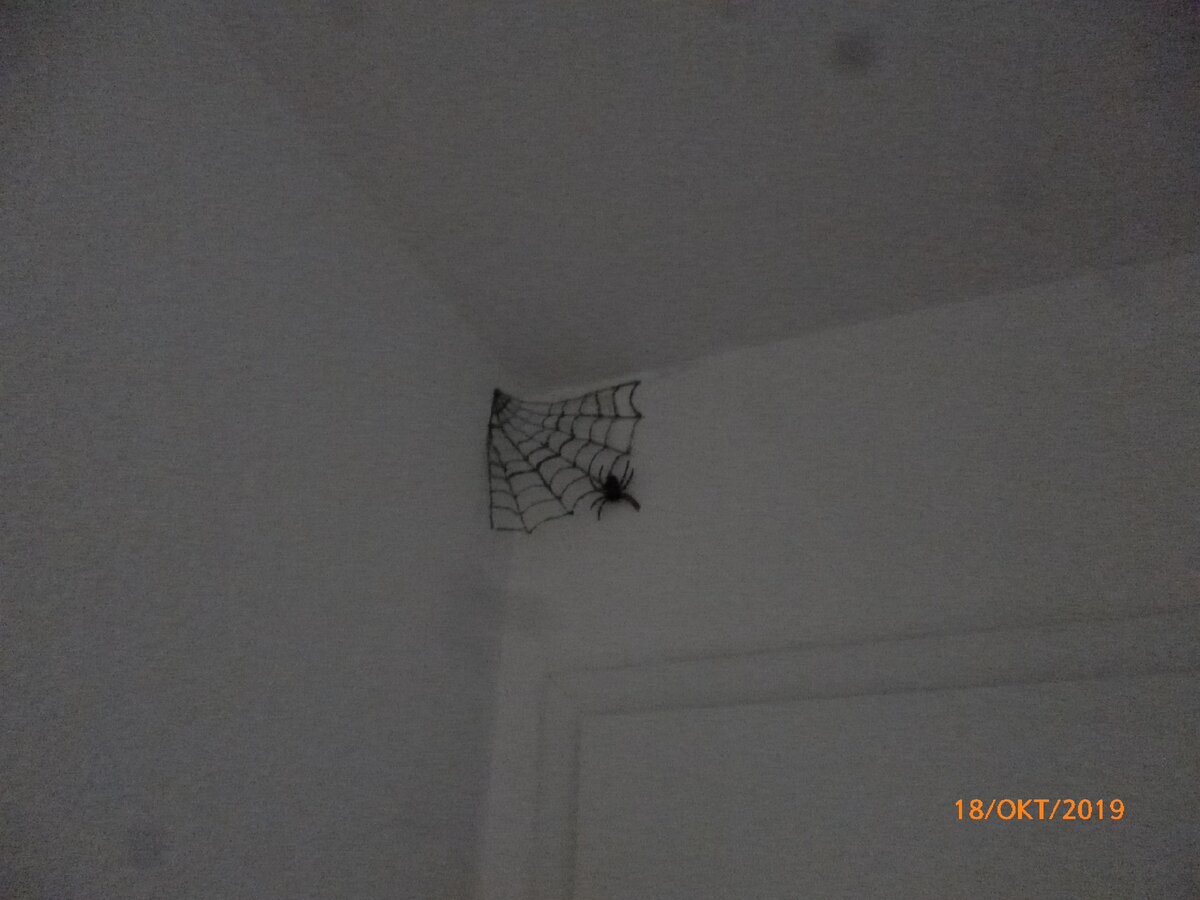 Паутина в коридоре с пауком.