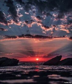 https://i.pinimg.com/236x/8f/d7/88/8fd78849ef0571360d9a8980fed48fa0.jpg