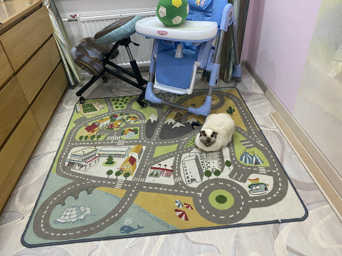 Ковер и пол - это разные территории!