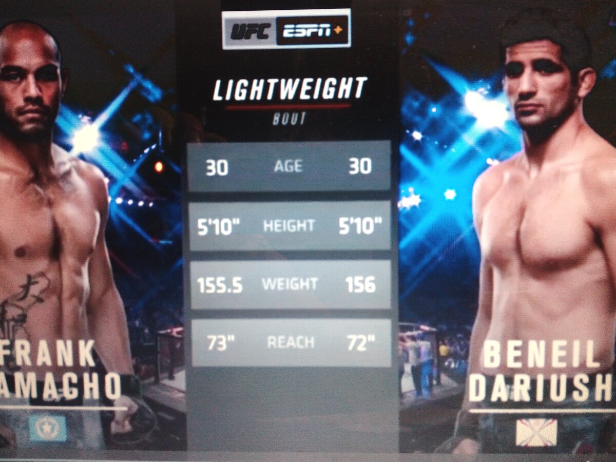 Параметры бойцов.