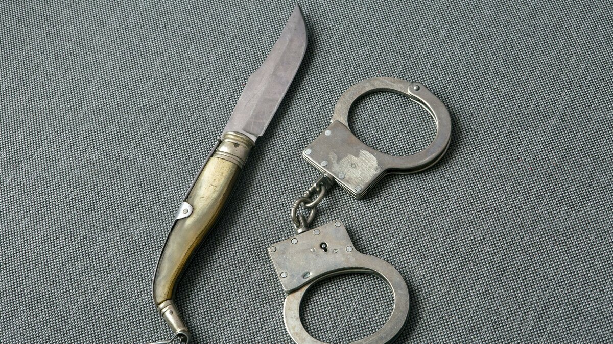 На следующих слайдах представлено заключение эксперта и фото самого ножа.Листайте в право. 