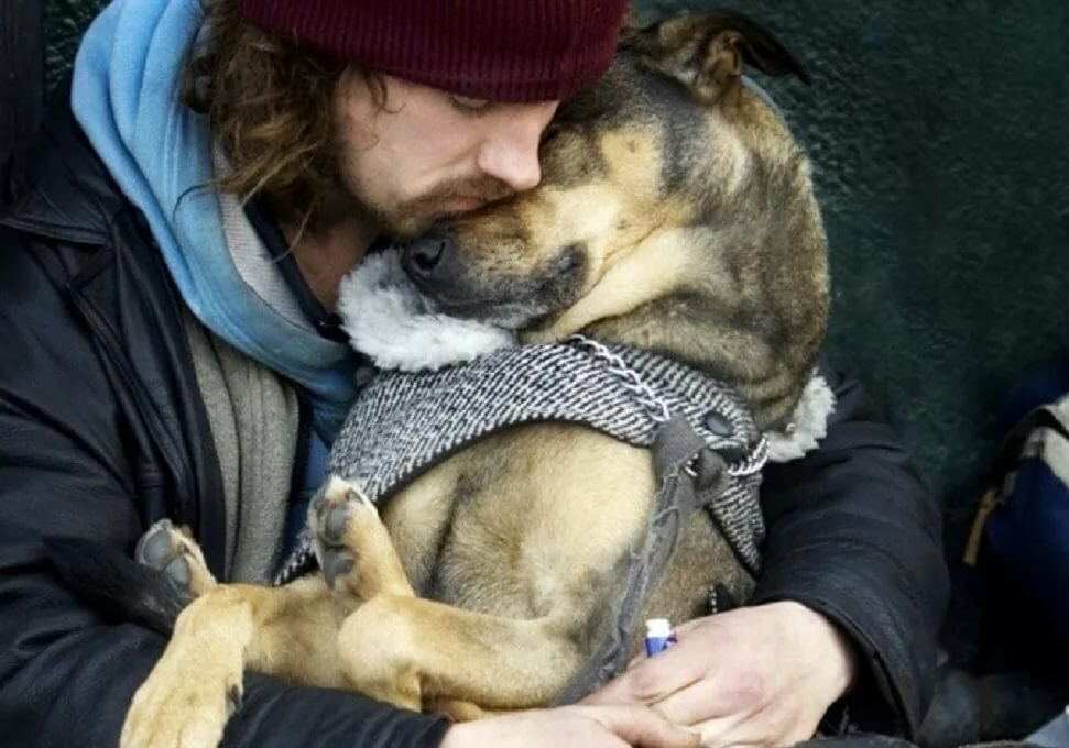 1 собака верный и надежный друг человека