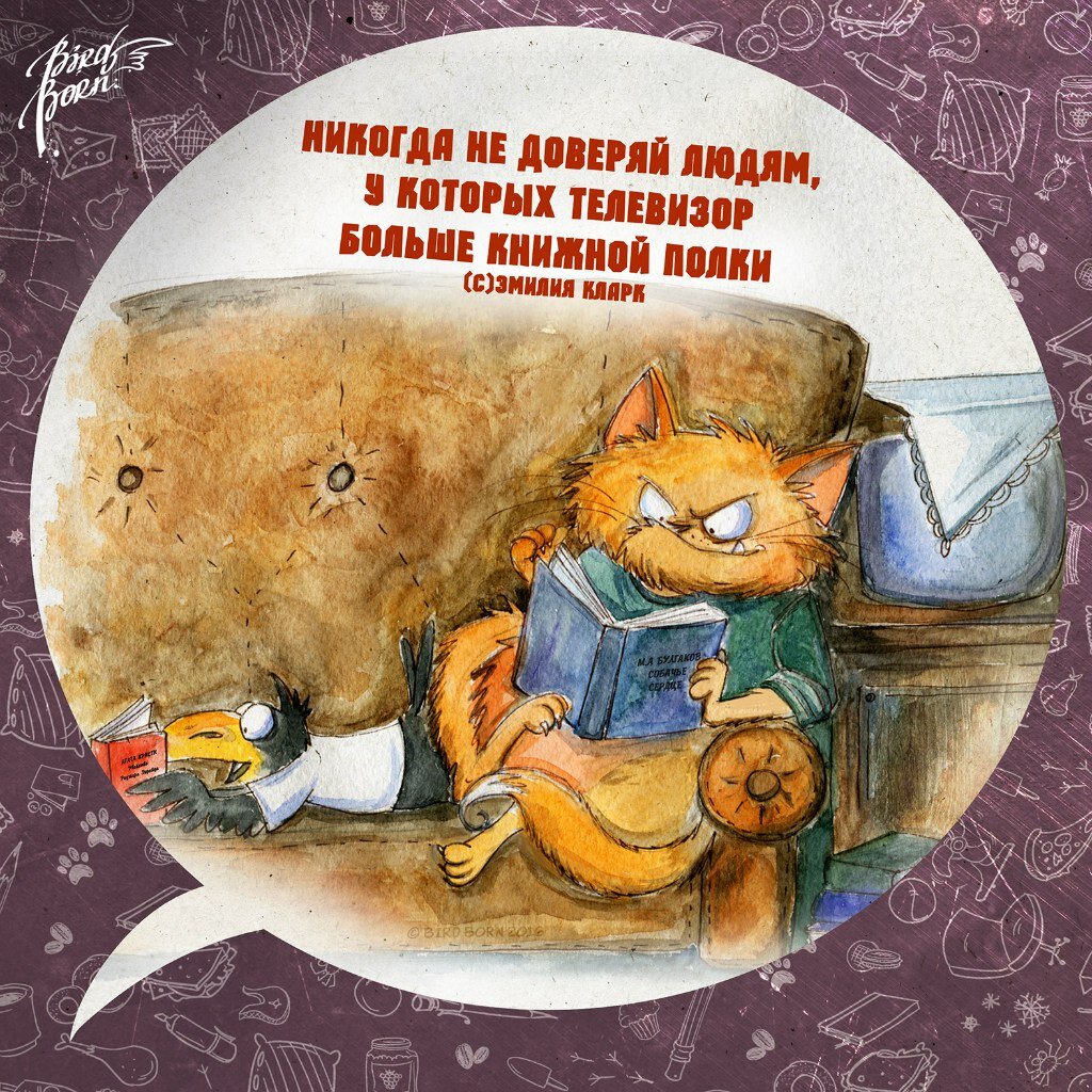 Коты и книги цитаты