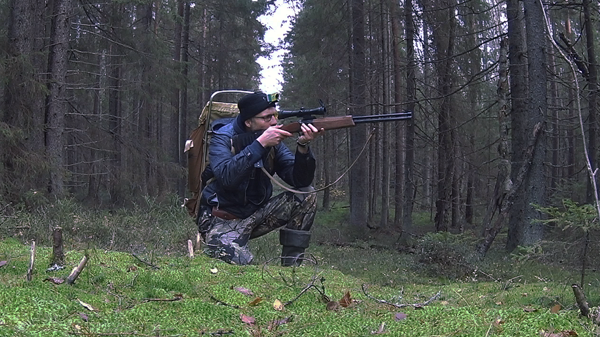 охота. охота с помощью. охота с помощью. охотник с собакой. собака охотничья.