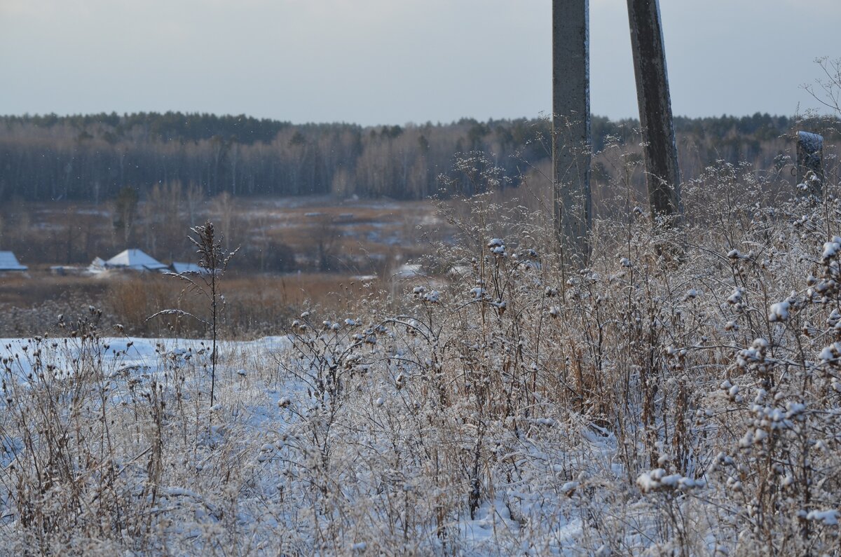 Наша деревня. Фото автора
