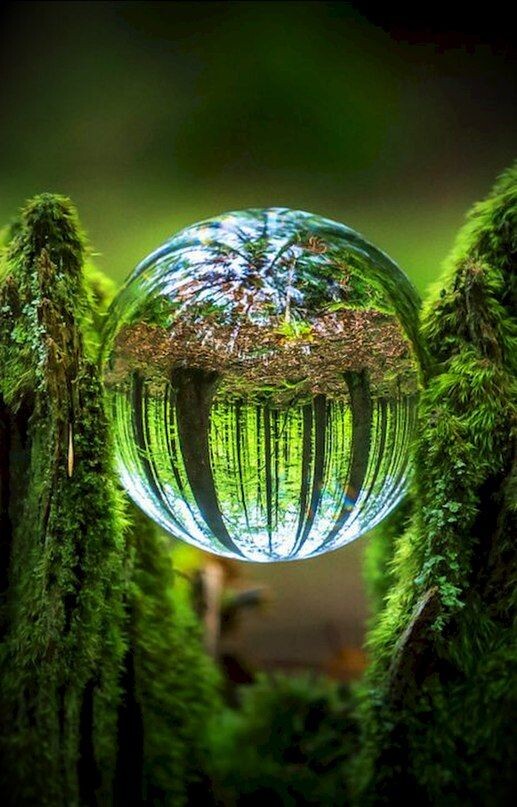https://www.pinterest.ru/pin/521010250636184891/