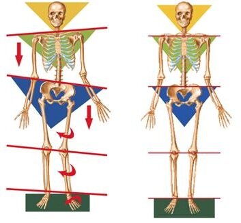 Возможные асимметрии нашего тела