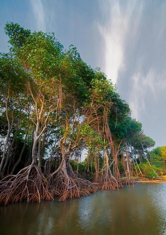 Источник: Яндекс. Картинки.