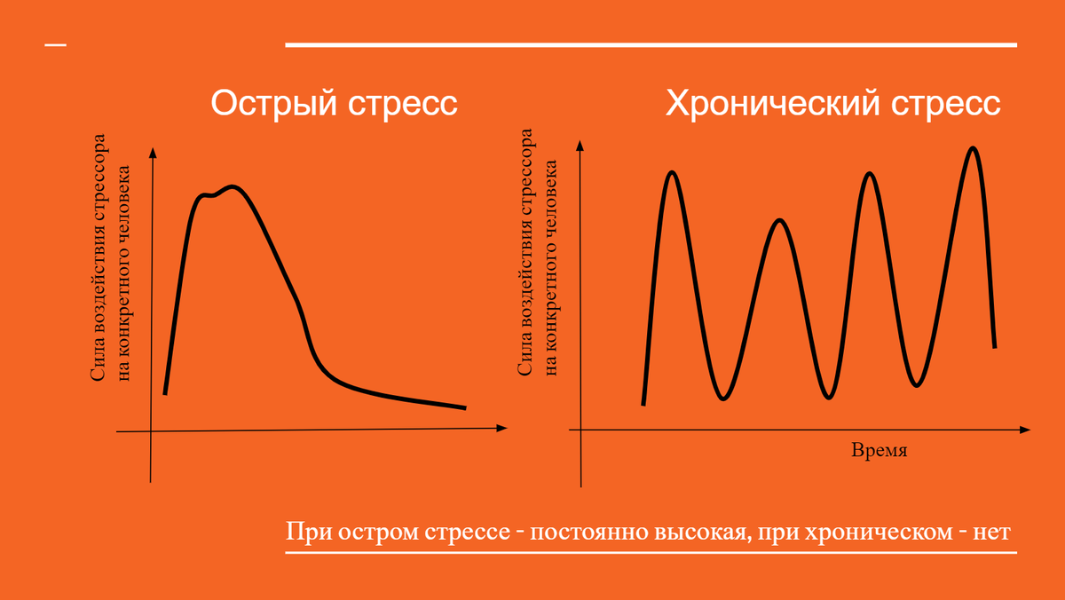 График воздействия стрессора и ответа на него в орнагизме