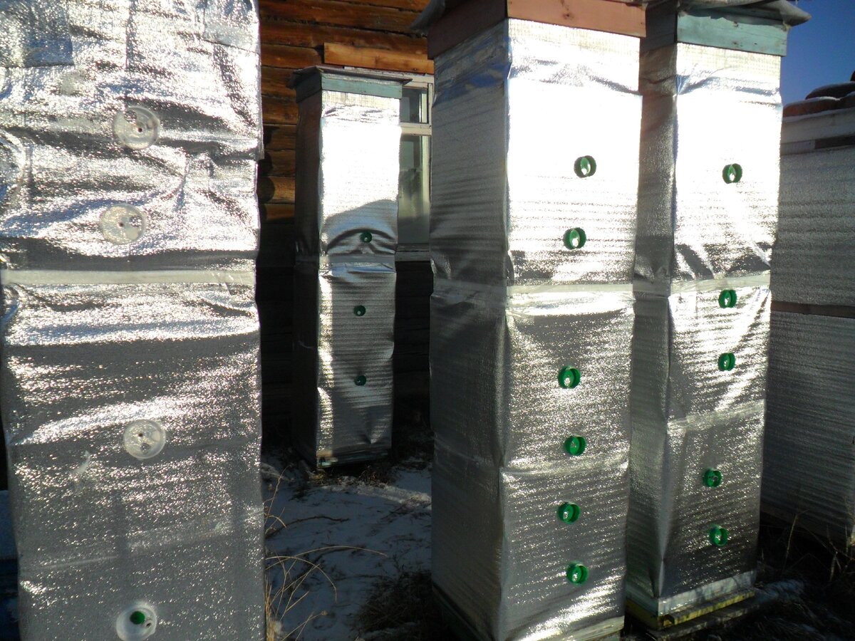 Зимовка пчел на воле.