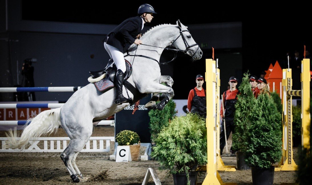 Чемпионат по конному спорту без коней. Конкур-Иппик. Спорт Хорс райдинг. Теннесси Уокер конкур. Эккерман конкур.