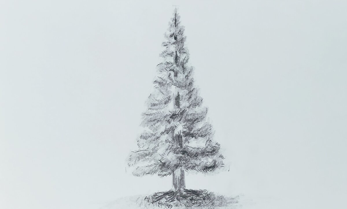 Поэтапное рисование елки - 65 фото