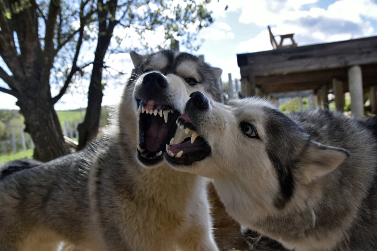 Это любовь))