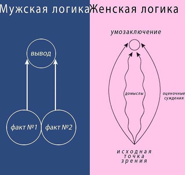 картинка из интернета.