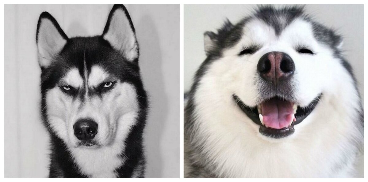 Чужим чтоб вот так делал, а своим - вот так. Не перепутай! https://clck.ru/Lpb4J