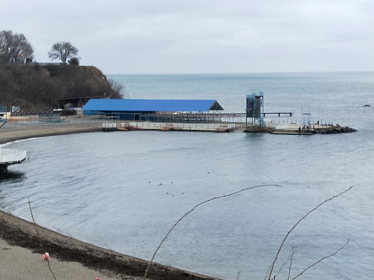 Фото автора. Начало января 2020. 