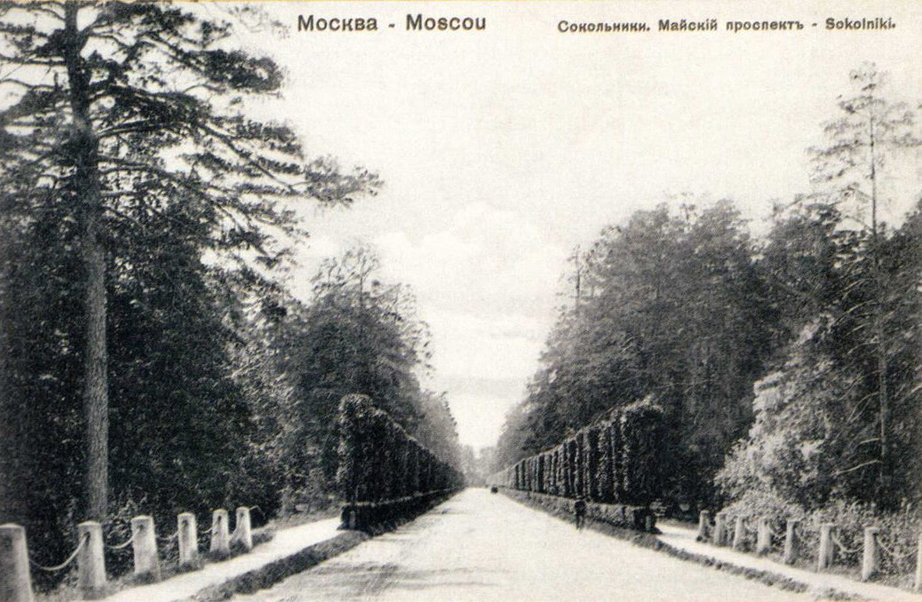 Москва 4-й лучевой просек д. Деревянная церковь в сокольниках. Майский просек в парке сокольники. Майский просек 1. Сокольники майский просек лиственницы.