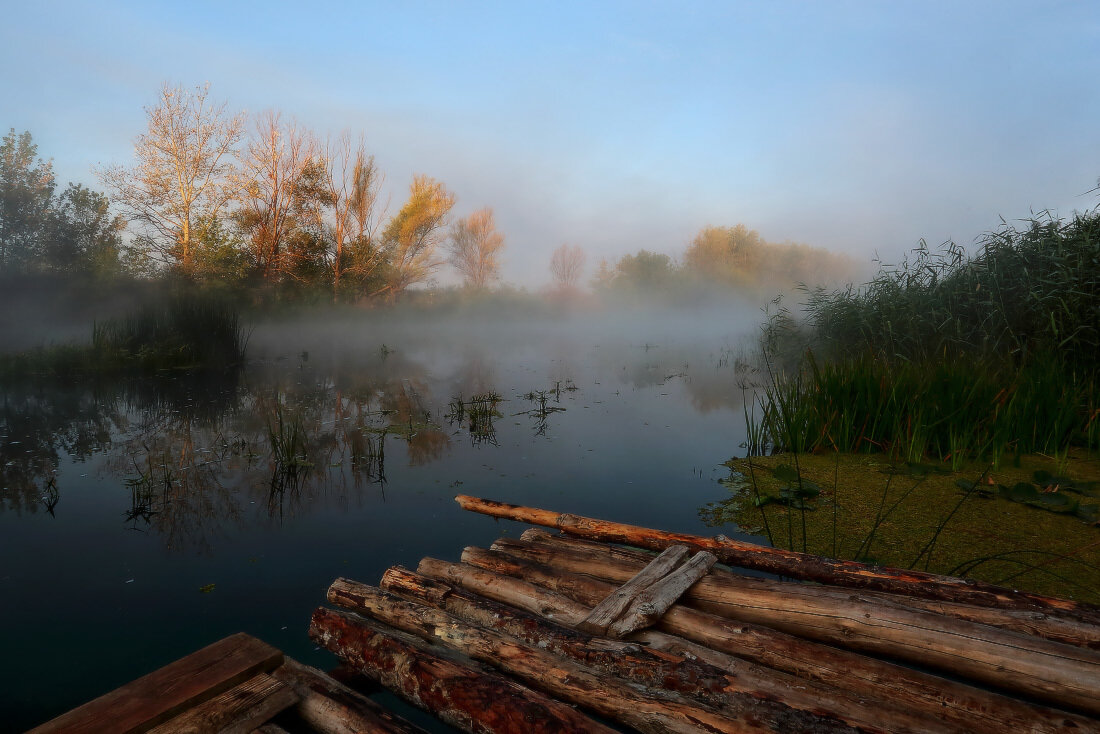 яндекс.картинки