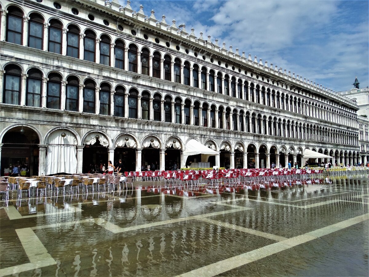 Kak vyglyadit. Фото картина Венеция площадь Святого марка. Парлафон как выглядит. Как выглядит Centour. Как выглядит sovineta.
