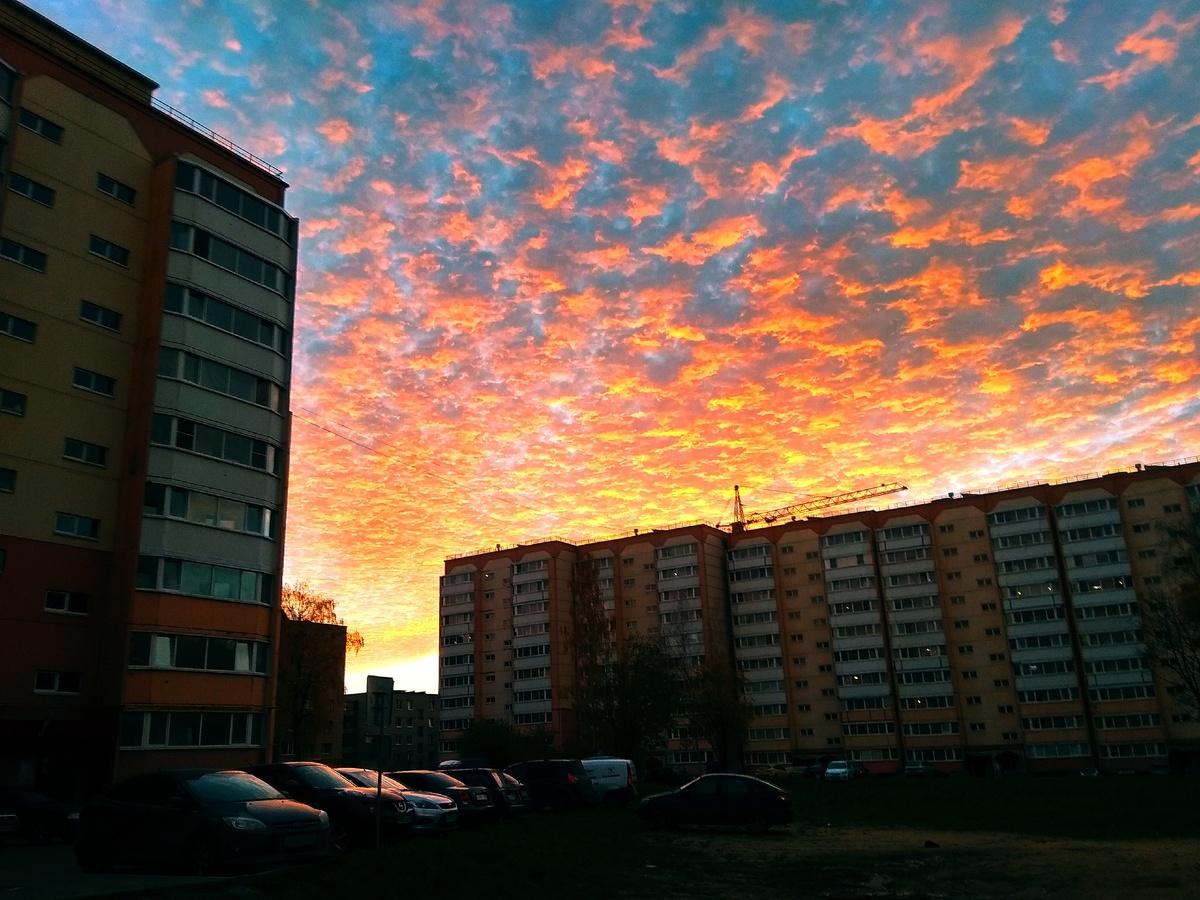 Мгновение, заснятое на мой дешёвый, но верный смартфон🌇