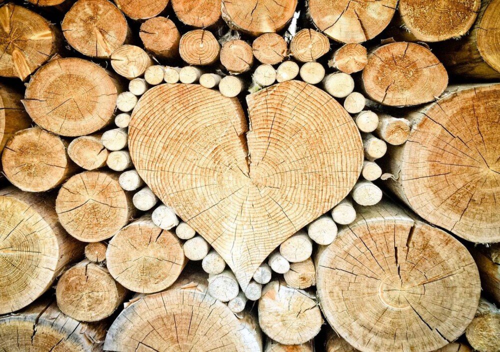 Дровяник, дровник или дровница?