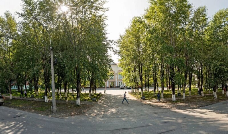 Эту аллею тополей у МКЦ ТПУ планируют вырубить…