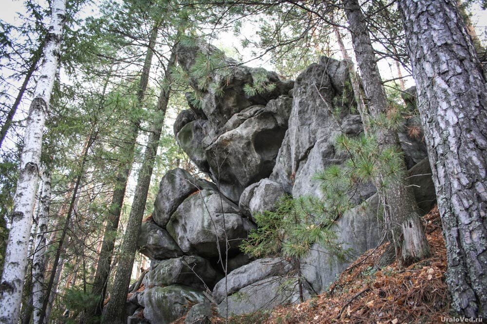 Скалы Кедрового острова