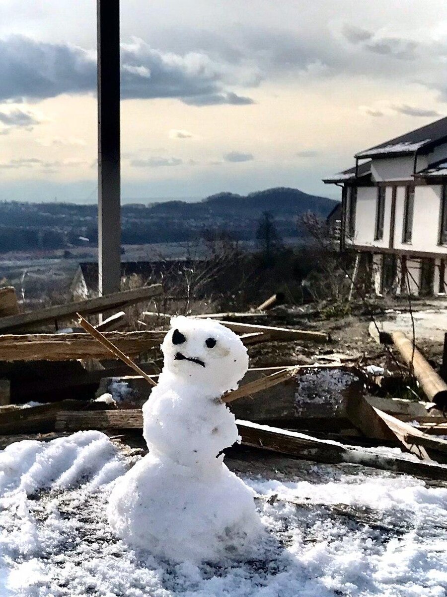 Протестный снеговик Алёша, 9 февраля 2020