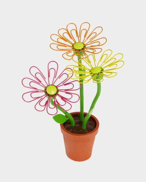 фото из сети